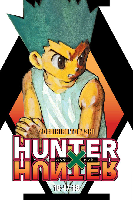 HUNTER X HUNTER 3IN1 TP VOL 06