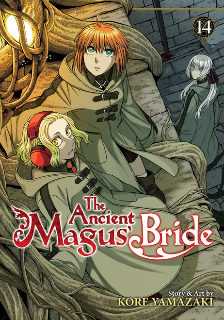 ANCIENT MAGUS BRIDE GN VOL 14