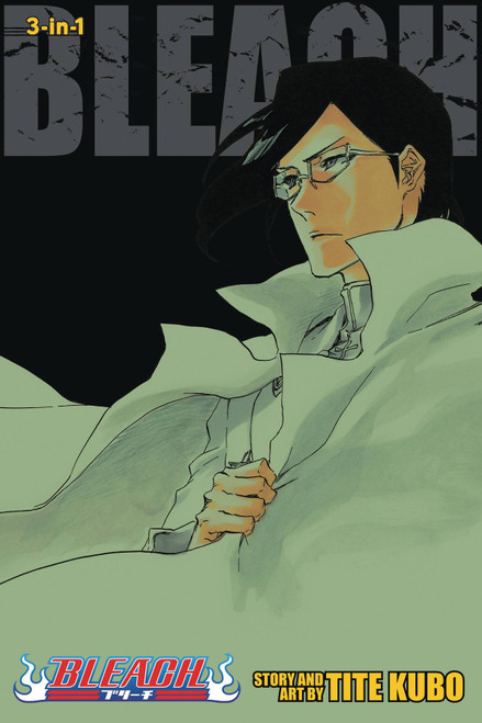 BLEACH 3IN1 TP VOL 24