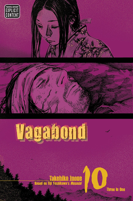 VAGABOND VIZBIG ED VOL 10