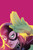 BATGIRL VOL 01 BEYOND BURNSIDE (REBIRTH)