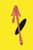 WATCHMEN THE ANNOTATED EDITION HC