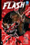ABSOLUTE FLASH TP VOL 02