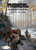 THORGAL VOL 12 BRAND OF EXILES