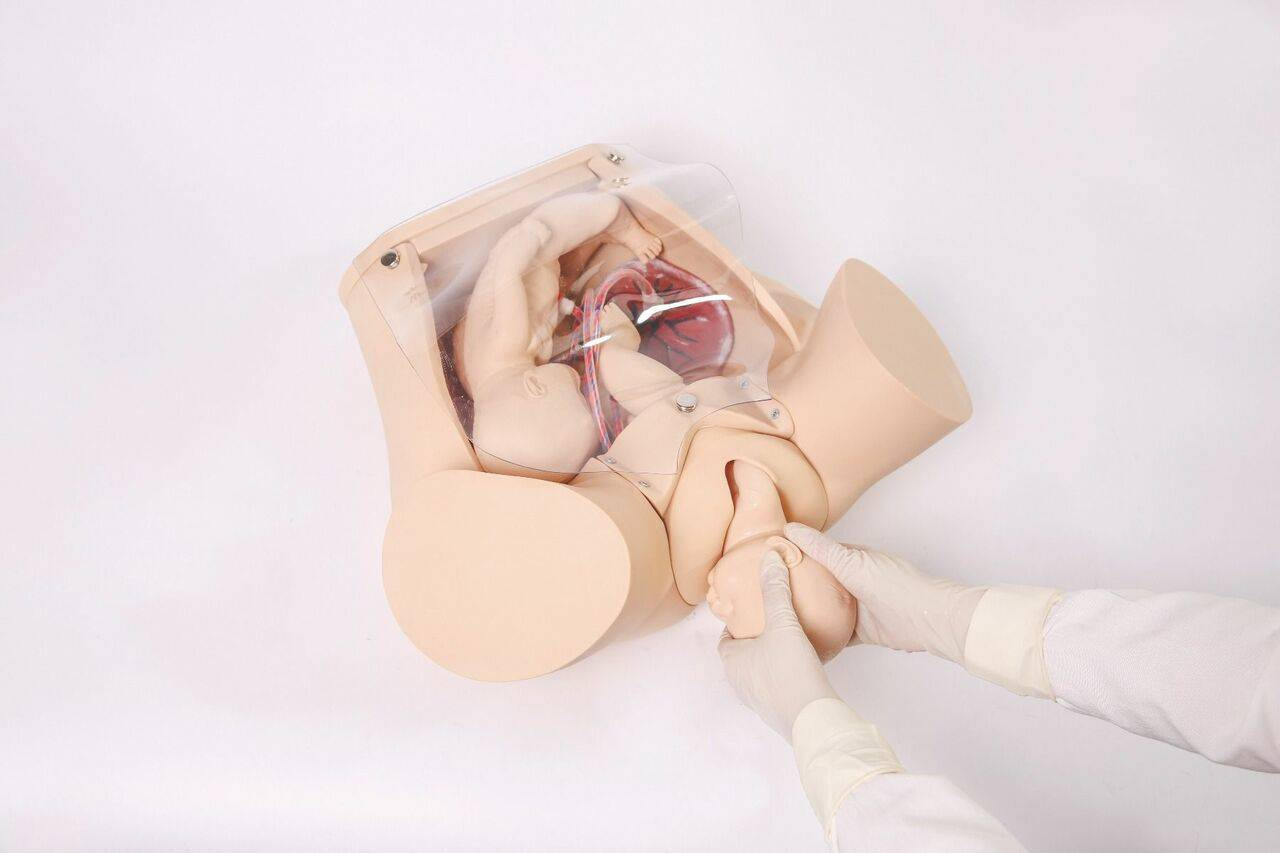Anatomy Lab Advanced Childbirth Simulator