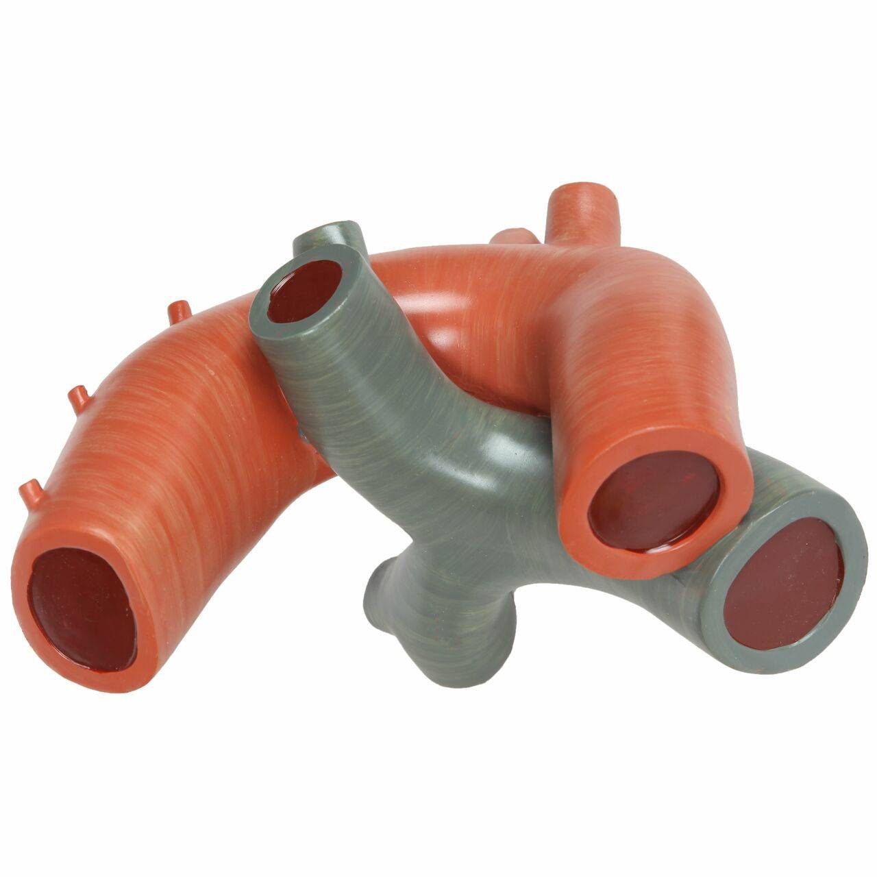 Axis Scientific 3x Life-Size 3-Part Human Heart Anatomy Model Left Pulmonary Artery and Ligamentum Arteriosum Back View