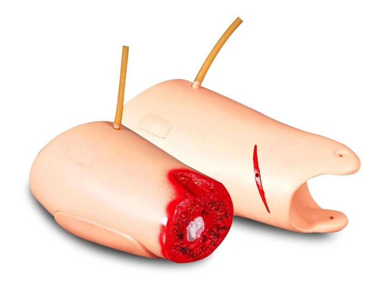 Anatomy Lab Amputated and Trauma Bleeding Leg