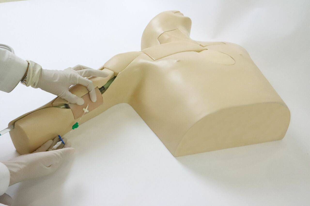 Anatomy Lab PICC Ultrasound Training Model