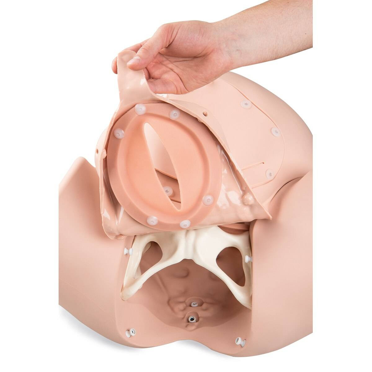 3B Birthing Simulator