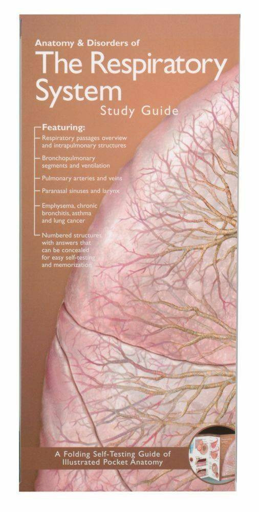 Illustrated Pocket Anatomy - Respiratory System and Disorders Study Guide - 2nd Edition