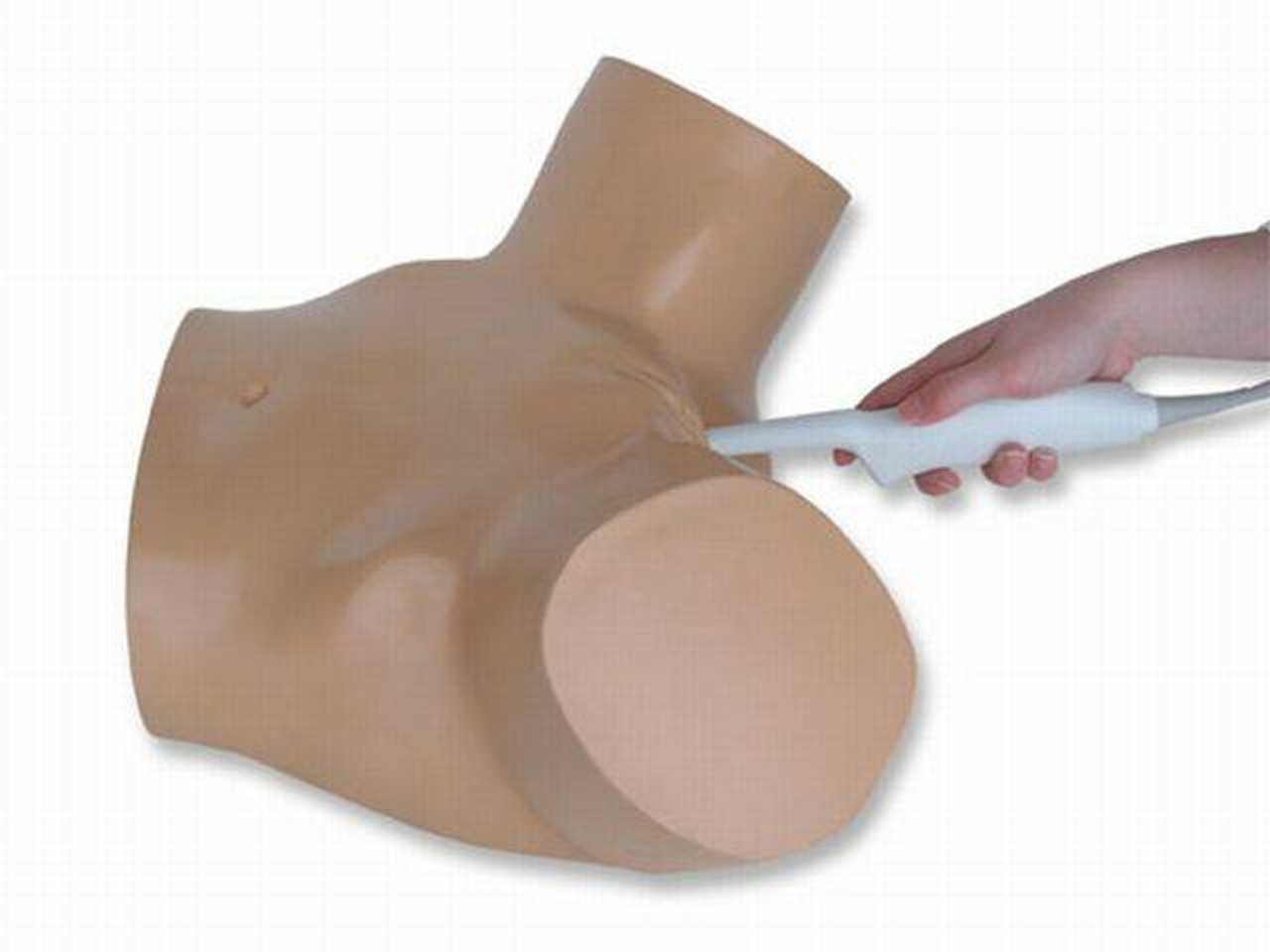 Ectopic Pregnancy Transvaginal Ultrasound Training Model