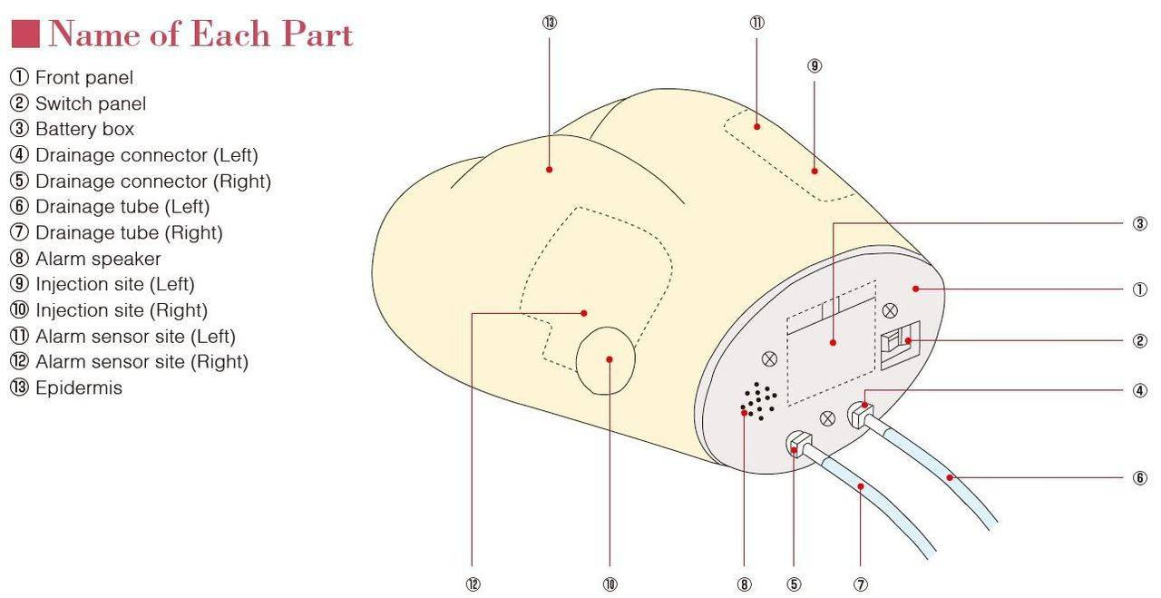 KOKEN Gluteal Intramuscular Injection Model II