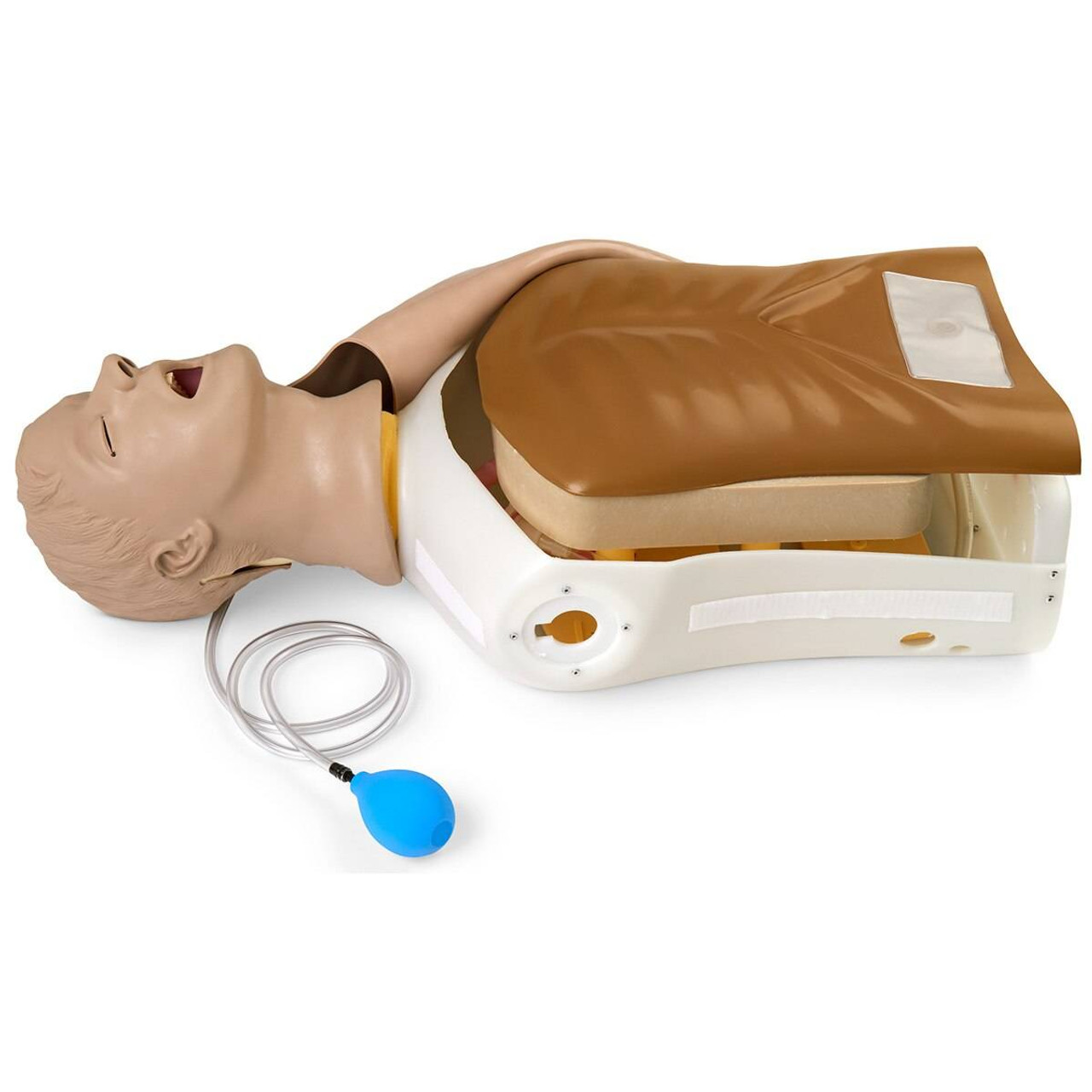 Life/form Airway Larry Airway Management Trainer Torso