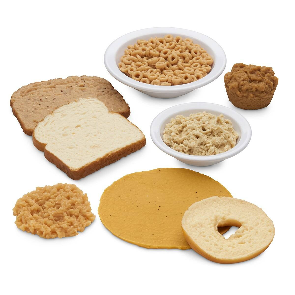 Nasco Basic Grains Food Replica Kit