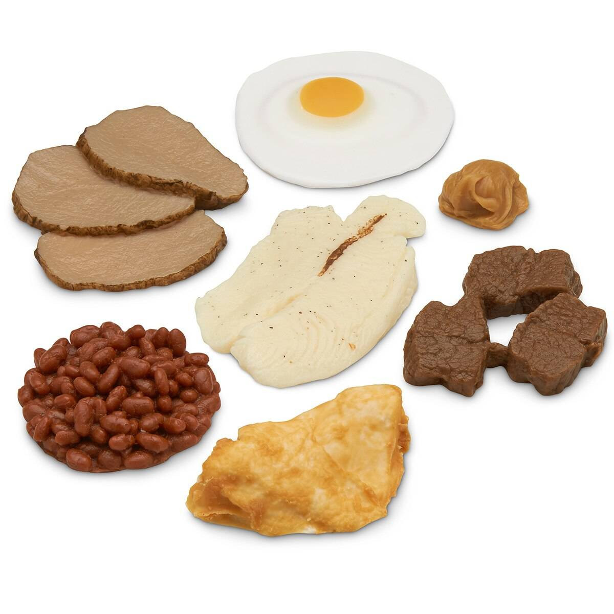 Nasco Basic Protein Food Replica Kit