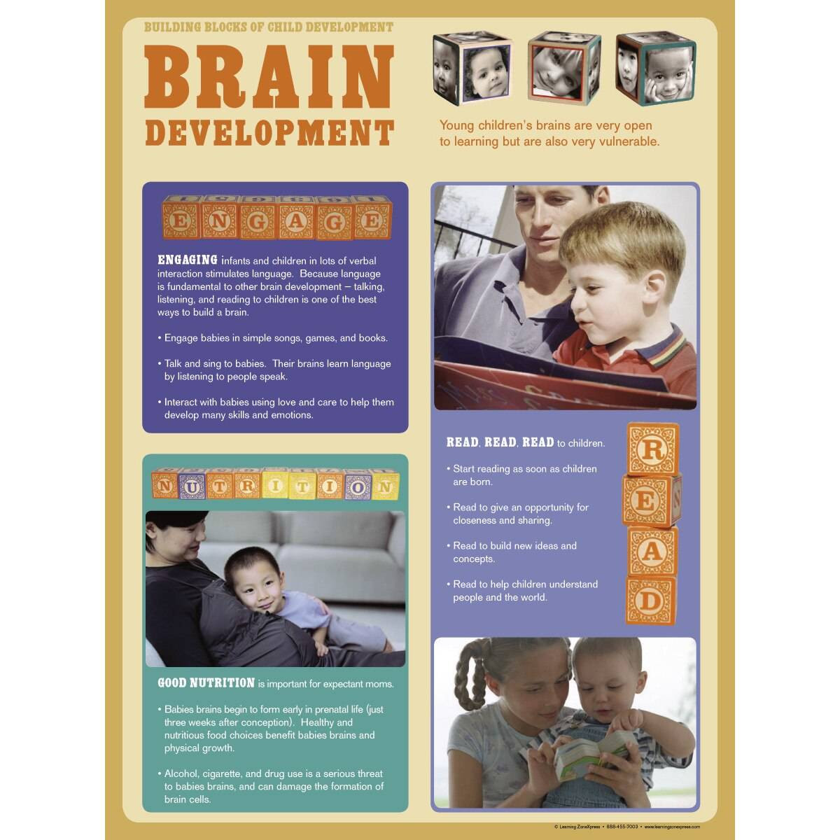 Child Development Poster Set