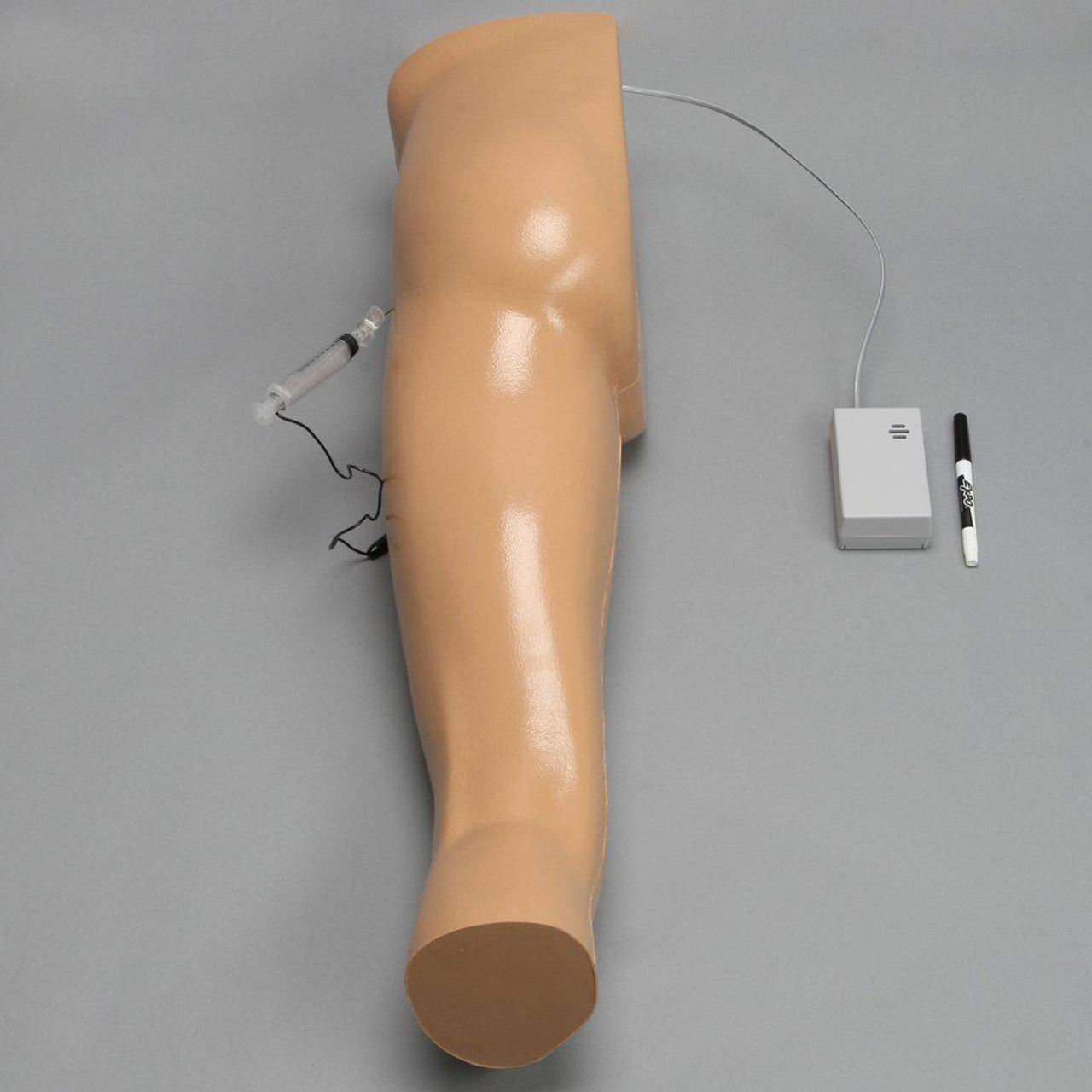 Soft Tissue Hip Injection Model with Skin