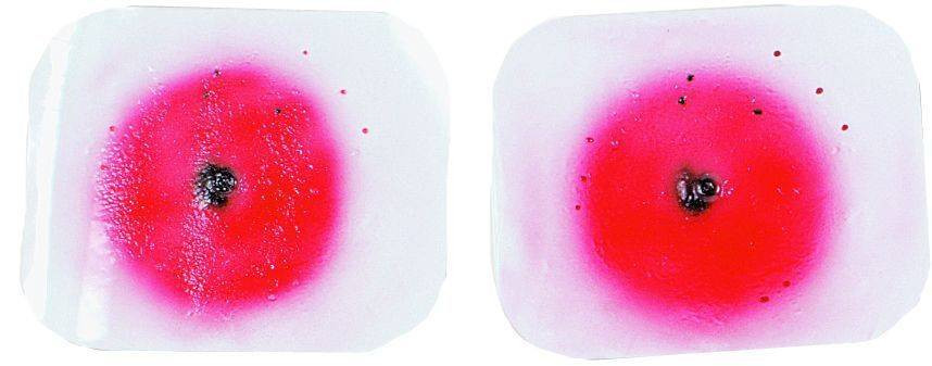 Intermediate Range Wound Simulator