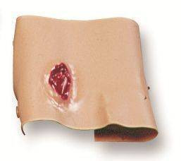 Projectile Entry and Exit Of Arm Model