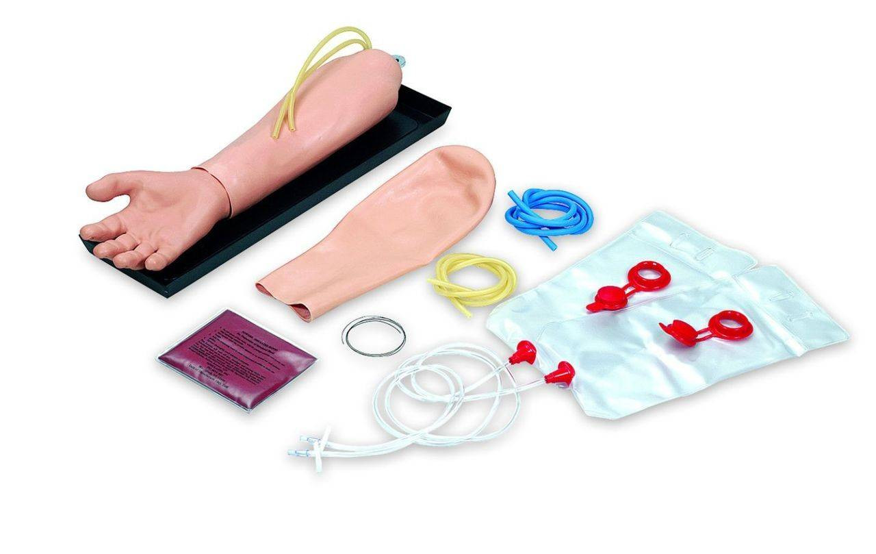 Trauma IV Lower Arm Model With Hand
