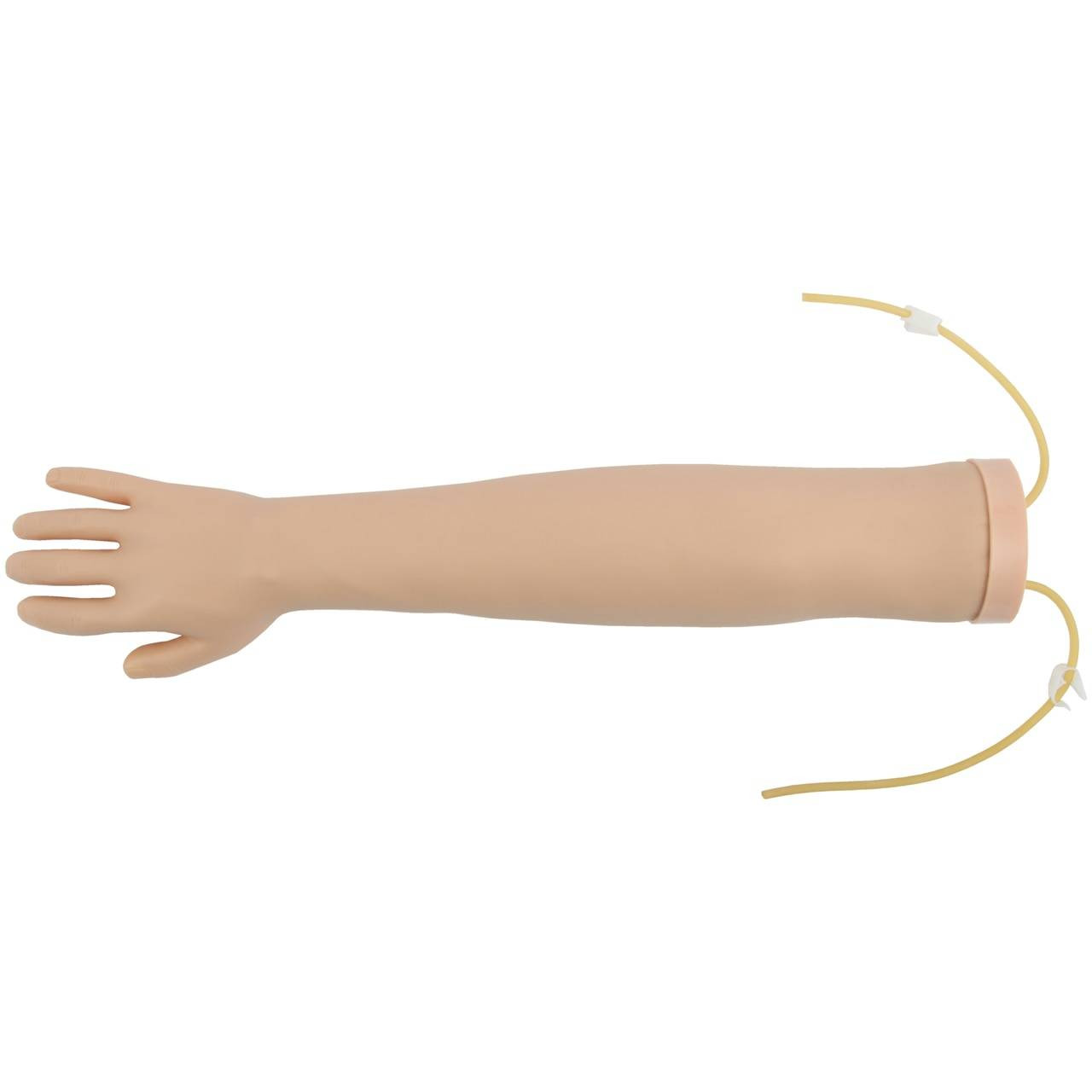 Anatomy Lab Venipuncture and IV Practice Arm Kit and Simulation Arm