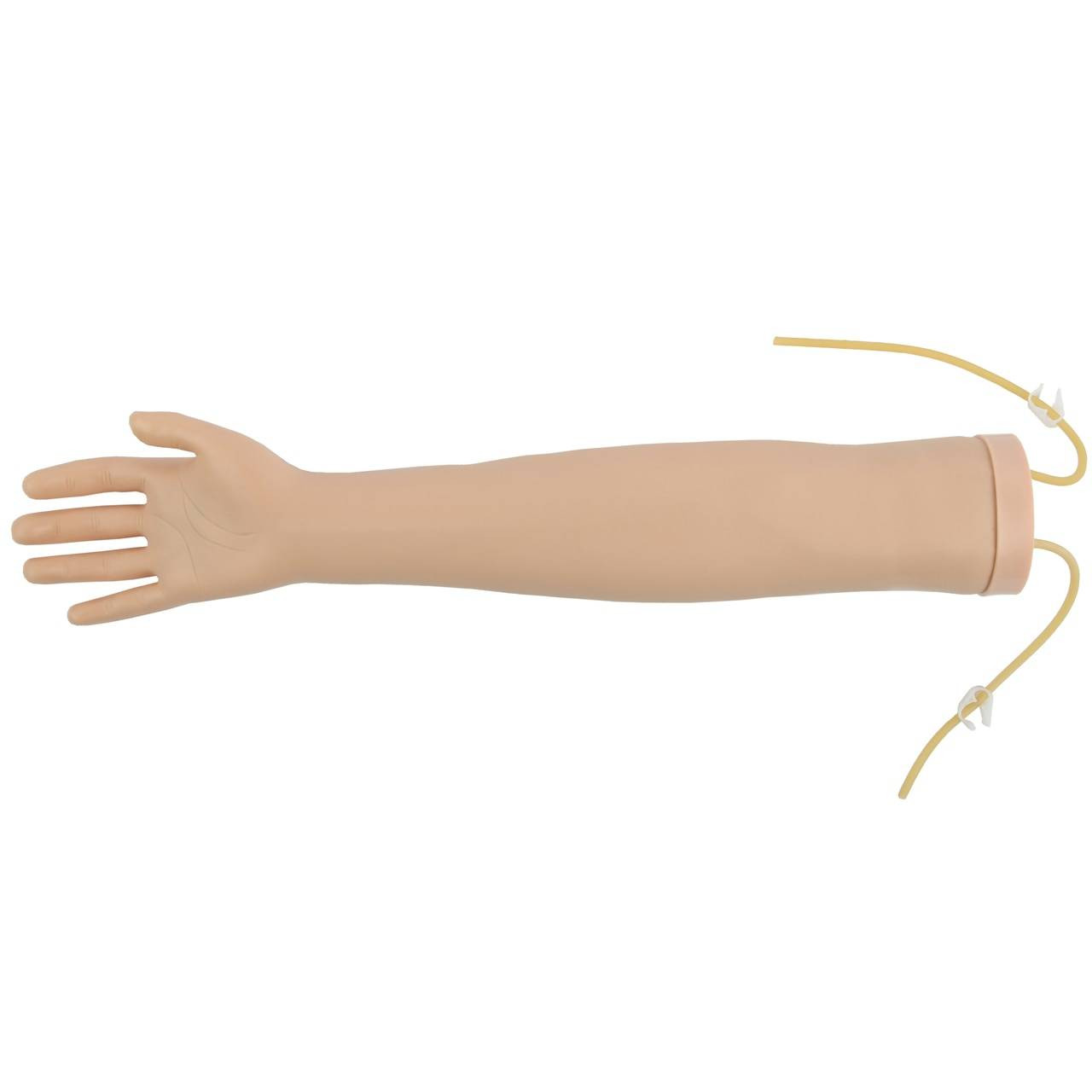 Anatomy Lab Venipuncture and IV Practice Arm Kit and Simulation Arm