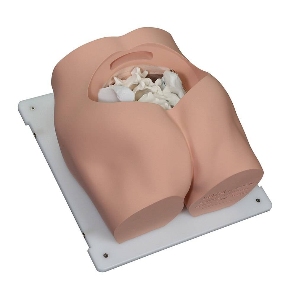 Bonnie Bone Marrow Biopsy Skills Trainer with Case and Set of 5 Illiac Crest Inserts