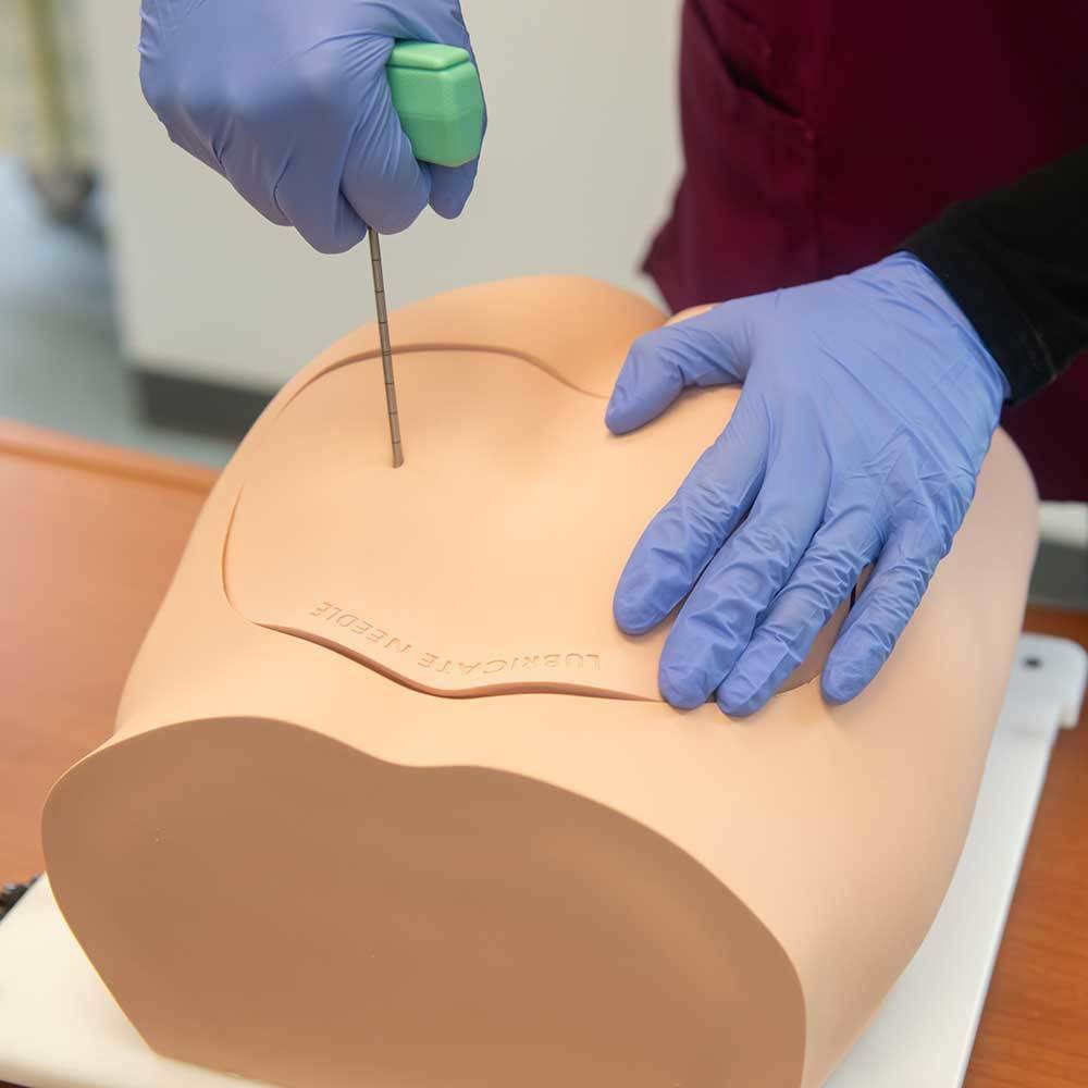 Bonnie Bone Marrow Biopsy Skills Trainer with Case and Set of 5 Illiac Crest Inserts