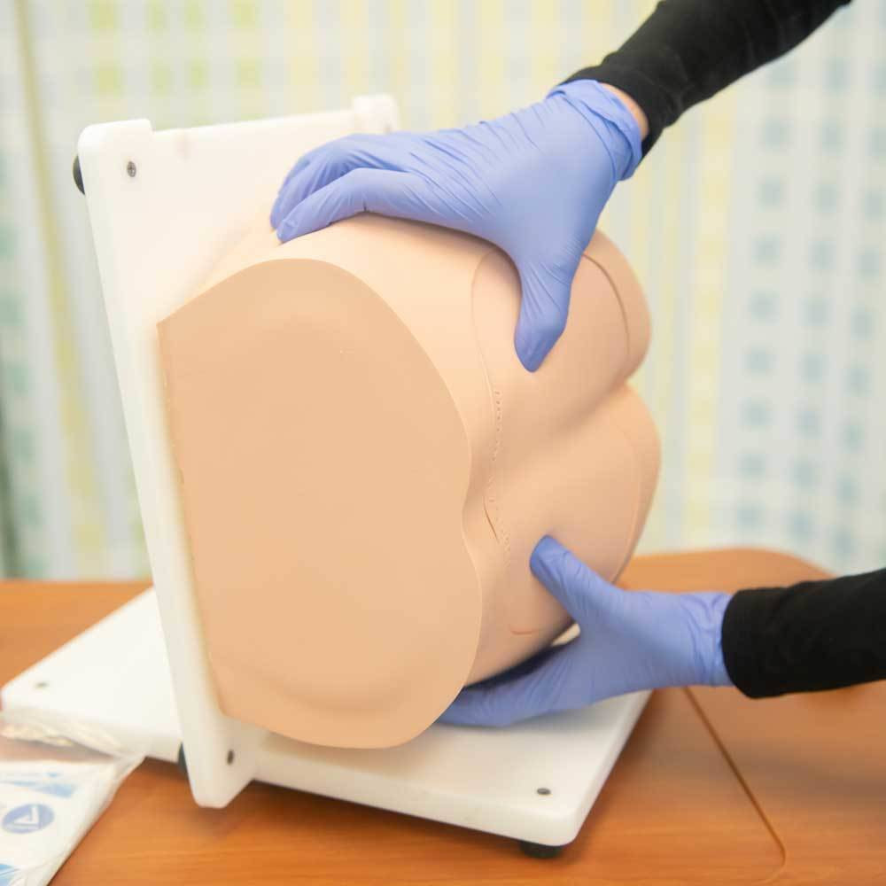 Bonnie Bone Marrow Biopsy Skills Trainer with Case and Set of 5 Illiac Crest Inserts