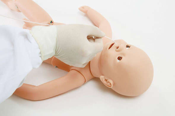 Anatomy Lab Combined Neonate Care Manikin Anatomy Lab Combined Neonate Care Manikin