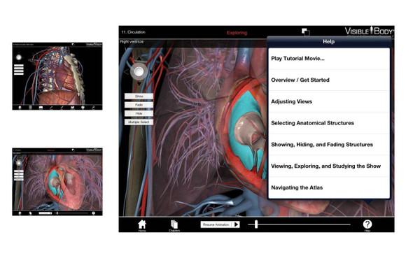 Visible Body Human Heart and Circulatory Premium Software PC or Mac Download Visible Body Human Heart and Circulatory Premium Software PC or Mac Download 1