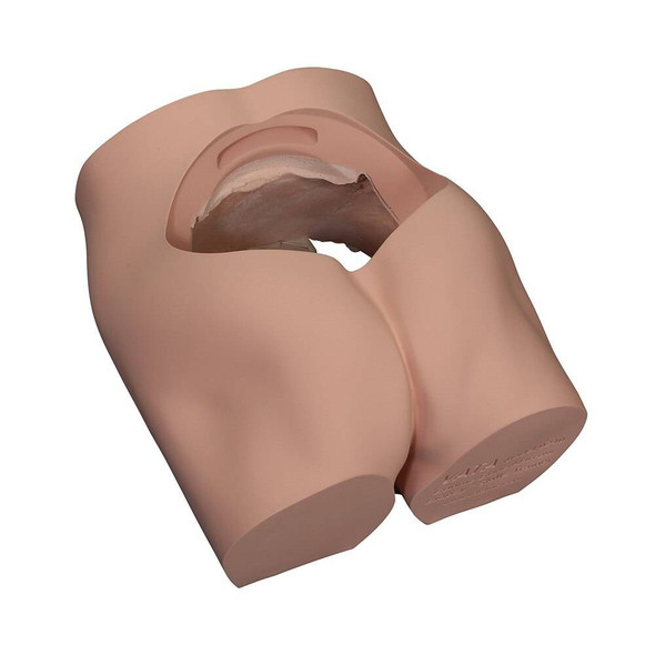 Body Skin Shell Replacement for Bone Marrow Biopsy Skills Trainer Body Skin Shell Replacement for Bone Marrow Biopsy Skills Trainer
