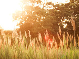 10 Ways to Beat the Heat This Summer 10 Ways to Beat the Heat This Summer