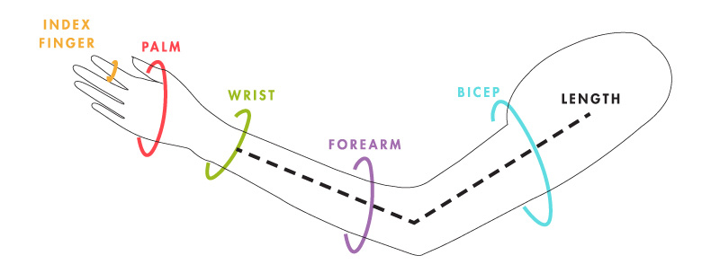 Bicep Size Chart