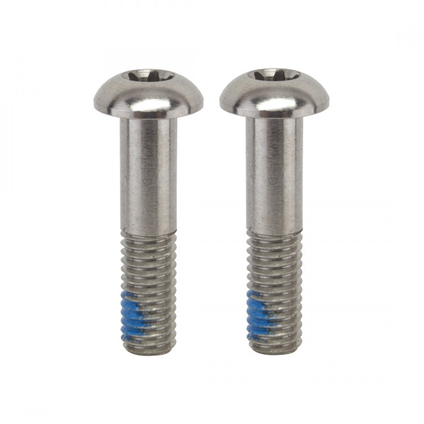BRAKE PART SRAM DISC ADPTR SCREWS ONLY 22mm T25 SS PAIR f/FLAT MOUNT CALIPER