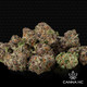 THCa Purple Panty Dropper Indoor Mediums/Smalls