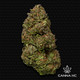 THCa Yerba Fuel (Premium Greenhouse)
