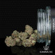 THCa Black Velvet Indoor Smalls