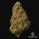 THCa Cactus Cooler (Premium Greenhouse)