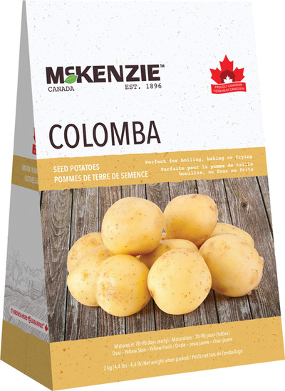 2 kg Colomba White Seed Potatoes