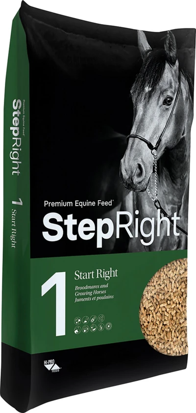 Step 1 Start Right Equine Feed