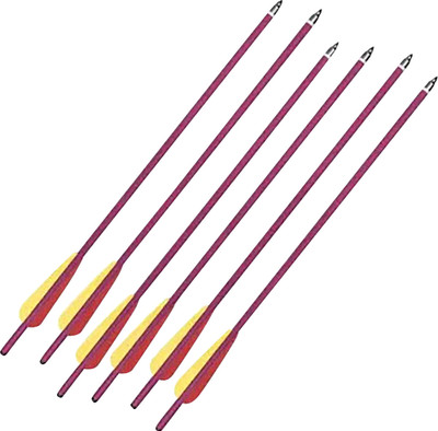 6 pk 20 in. Aluminum Crossbow Bolts