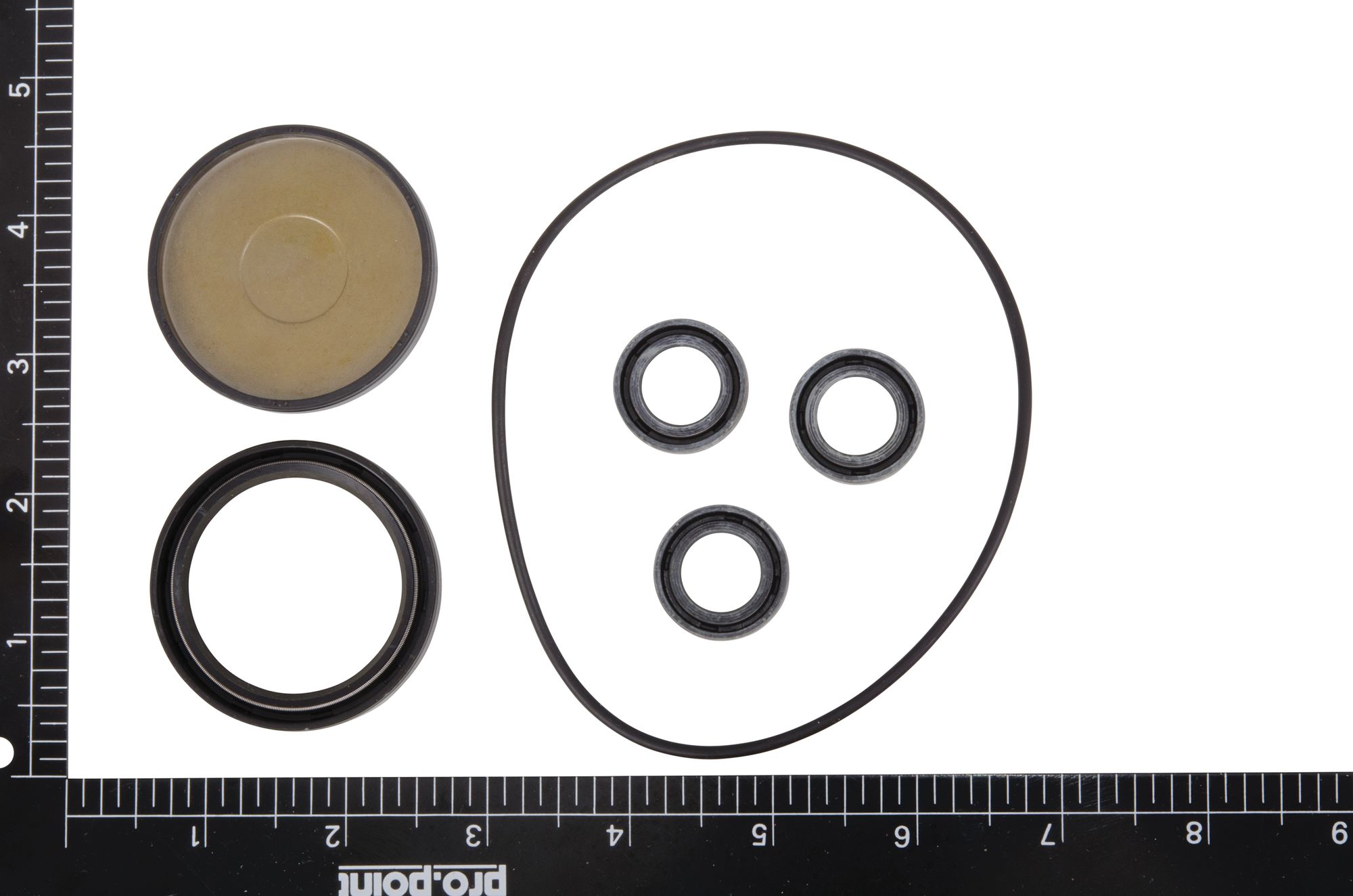 Oil Seal Kit for RSV Pumps