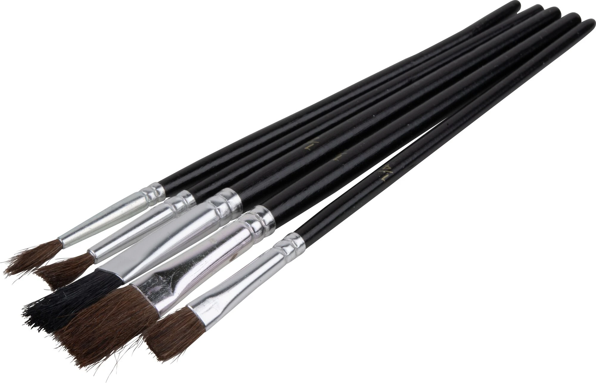 5 Pk Paint Brushes