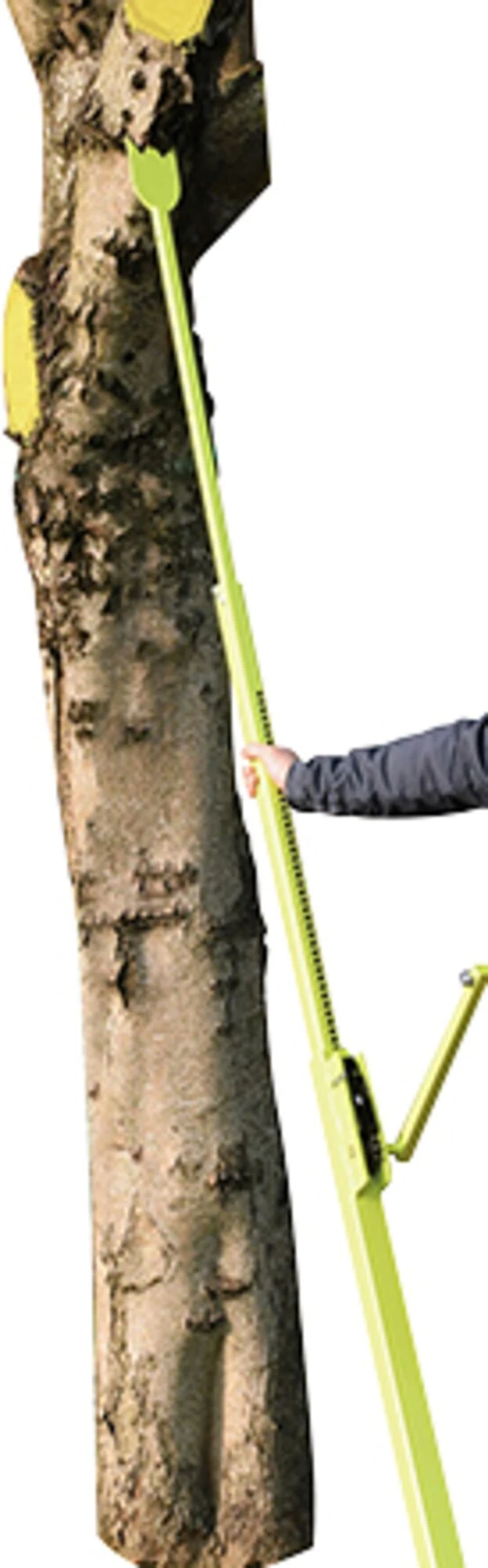 Tree Fellar Tree-Felling Jack | Timber Tuff Tools | Princess Auto
