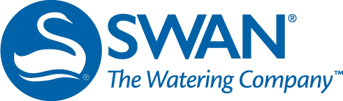 Swan
