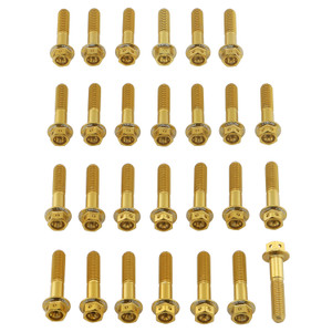 Alu Motorseitendeckelschraubenkit GSF1250 Bandit Race Spec Gold