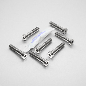 Edelstahl vordere Bremse Bremsbelaghalte Klemmschrauben Set (Brembo)