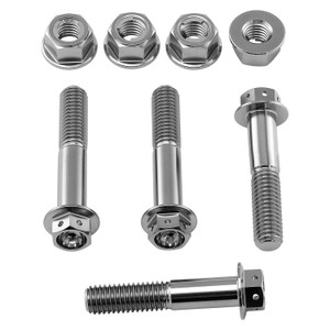Titanium Grab Rail Mount Bolts Race Spec