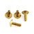 Edelstahl Fersenschoner Schrauben Kit Gold